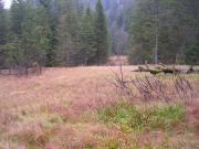 Molinaie, Grand Ventron