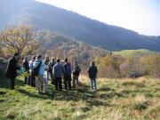 Réunion du comité de pilotage au Freundstein