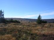 Chaume du Gazon du Faing