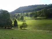 Photo PNRBV : vallée Haute Meurthe