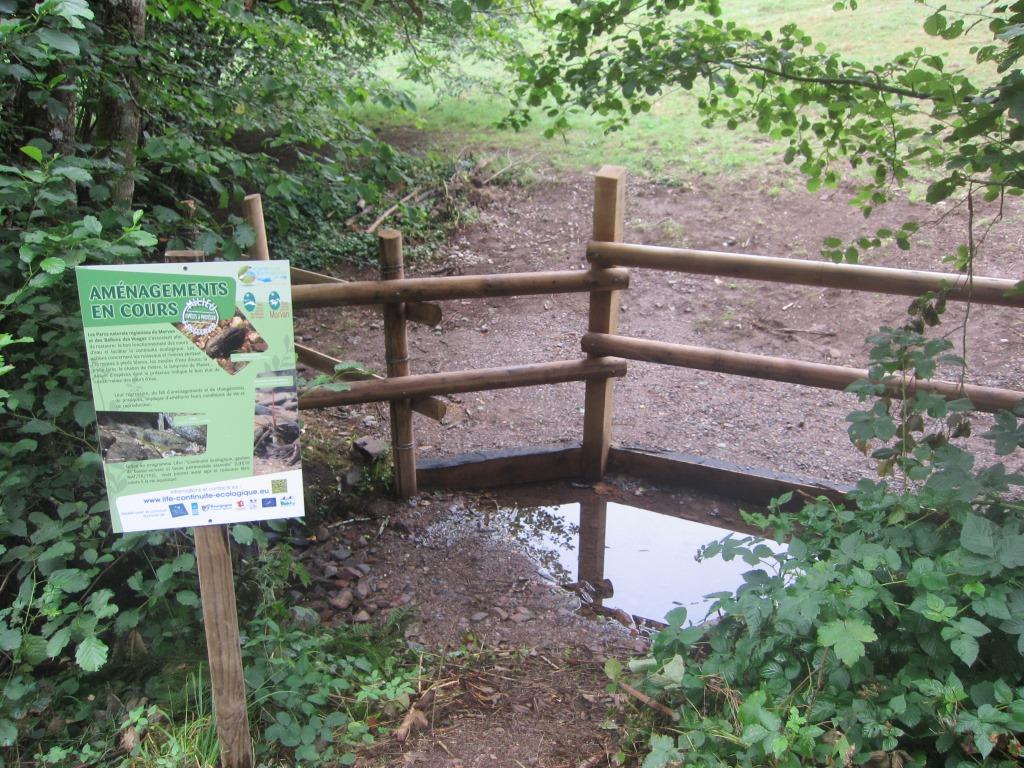 Abreuvoir mis en place à Servance, dans le cadre du programme LIFE, pour éviter le piétinement des berges humides
